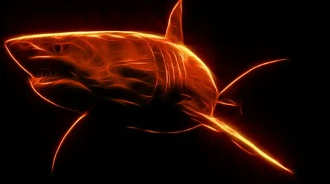 Shark. Fractal Rendering Stock Footage 12575631