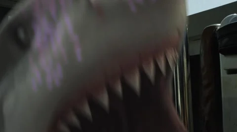 Shark getting a electric shock in cage Stock Footage 67555260