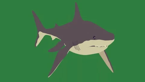 A shark on green screen and with its mouth open green screen elements Stock Footage 336050190