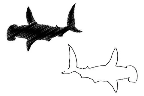 Shark hammerhead silhouette vector Stock Illustration