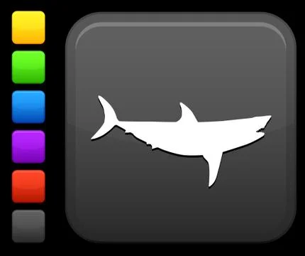 Shark icon on square internet button Stock Illustration