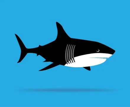 Shark Stock Illustration