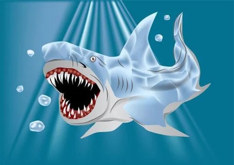 Shark Stock Illustration