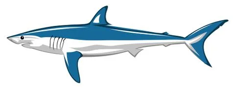 Shark Stock Illustration