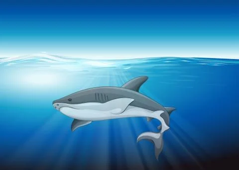 Shark Stockillustratie