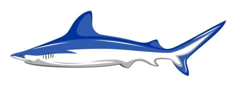 Shark Stock Illustration