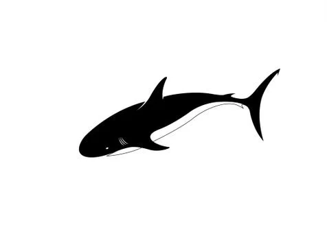 Shark. Stock Illustration