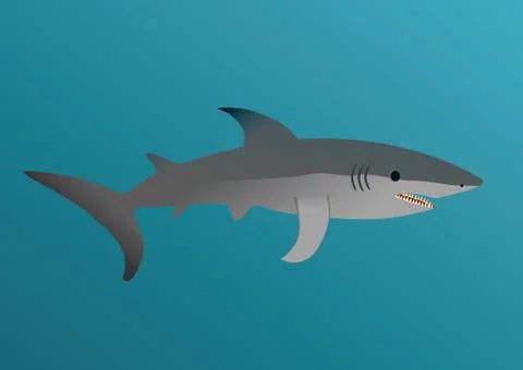Shark Illustrazione stock