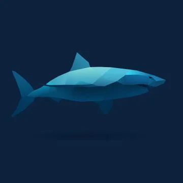 Shark Stock Illustration