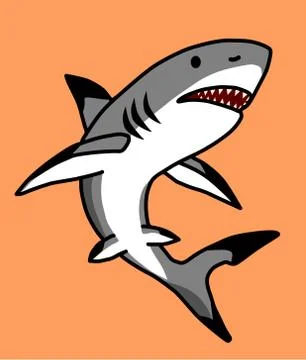 Shark Stock Illustration