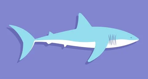 Shark Stock Illustration