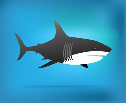 Shark illustration Stock Illustration