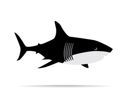 Shark illustration Stock Illustration