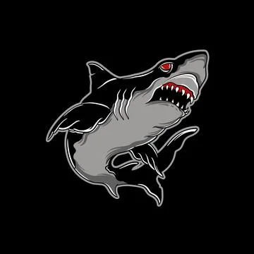 Shark Illustration Stock Illustration
