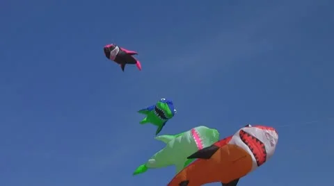 Shark kites in the wind Stock Footage 8993258