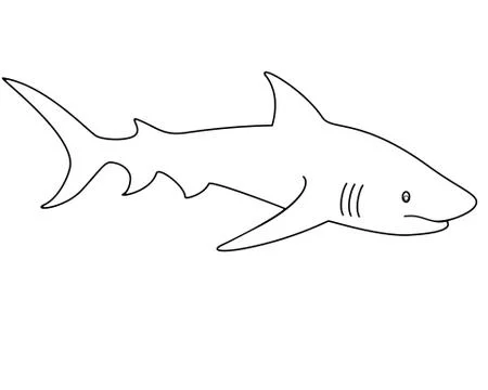 Shark - linear vector template for coloring. Outline. Vector animal. Stock Illustration