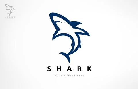 Shark logo vector. Fish animal design. Stock Illustration