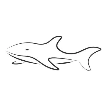 Shark logo vector illustration design Stock Illustration