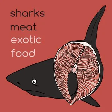 Shark meat Stock Illustration