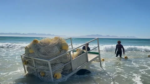 Shark net being pulled out of trailer and into the waves Stock Footage 160125096