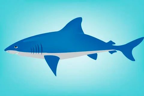 Shark in ocean Stock Illustration