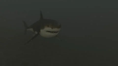 Shark Pan Stock Footage 157030026