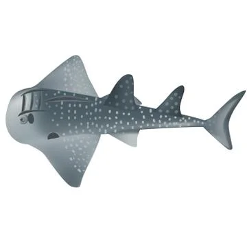 Shark ray Stock Illustration