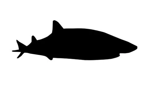 Shark silhouette Stock Illustration
