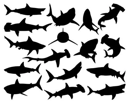 SHARK SILHOUETTE VECTOR ART Stock Illustration