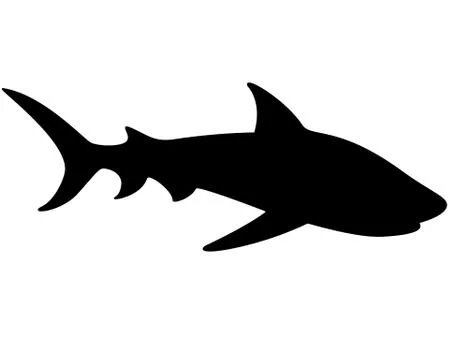 Shark Silhouette - vector template for a logo or badge. Outline. Vector animal Stock Illustration