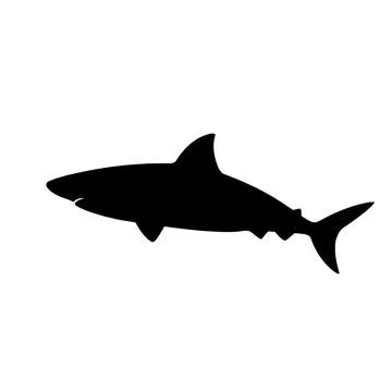 Shark Silhouette On White Background Stock Illustration