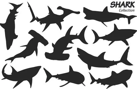 Shark silhouettes 스톡 일러스트