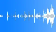 SHARK Sound Effect