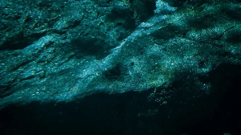 Shark swims 库存影片 91017031