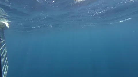 Shark swims in front of camera in deep ocean Stock Footage 53212220