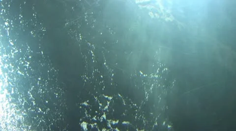 Shark Tank Stock-Footage 10574681