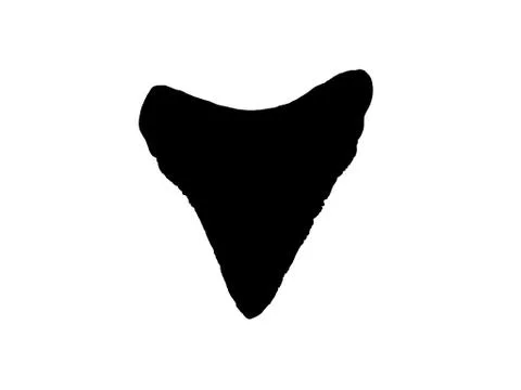 Shark Tooth Stock Illustration