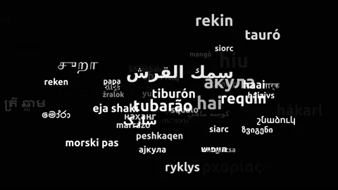 Shark Translated in 65 Worldwide Languages Endless Looping 3d Zooming Wordclo Stock-Footage 145214869