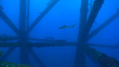 Oil Rig Gulf Of Mexico Stock Video Footage | Royalty Free Oil Rig Gulf ...