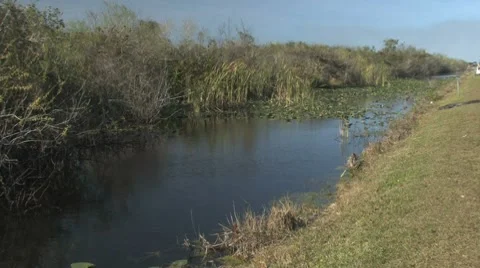 Shark valley Stock-Footage 7135479