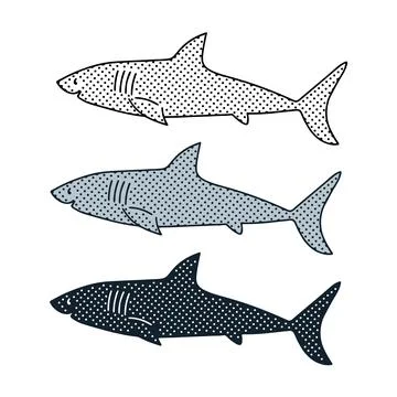Shark vector illustration in 3 styles isolated on white background. Stock Illustration