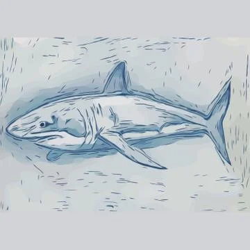 Shark vector illustration. hand drawn sketch of shark swimming. Dangerous sca Stock Illustration