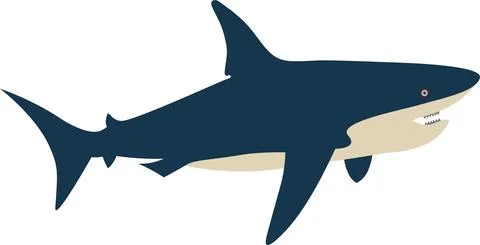 Shark vector illustration Stock Illustration
