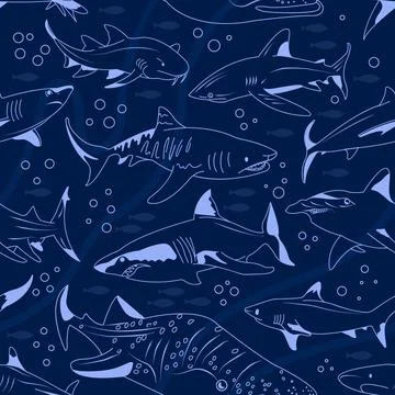 Shark vector seamless square pattern. Illustrazione stock