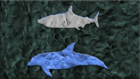 Shark Vs Dolphin Made of Clay in Stop Motion Stock Footage 94021048