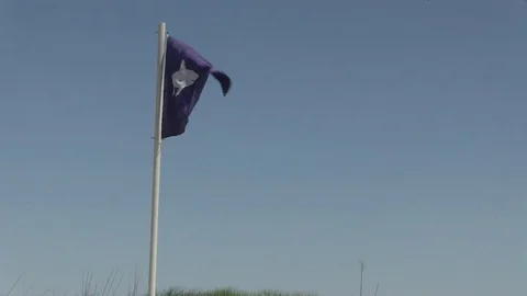 Shark Warning Beach Flag Wide Stock Footage 76681217