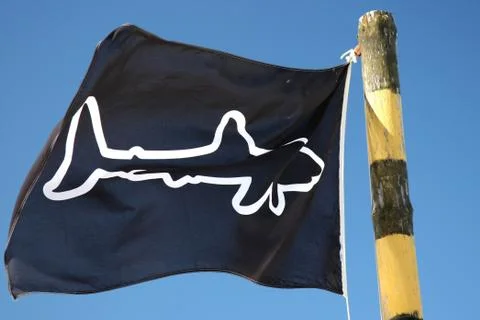Shark Warning Flag Foto stock