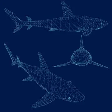 Shark wireframe set. Vector illustration Stock Illustration