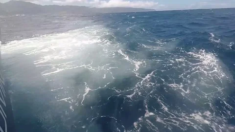 Sharks approaching dive boat Stock Footage 107442553