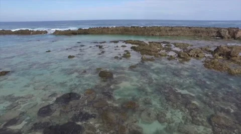 Sharks Cove Stock Footage 46697064